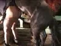 Slut got smashed and pounded by horse xxx